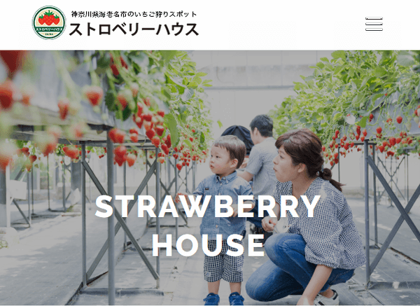 イチゴ狩り神奈川21予約なしで行ける穴場農園は 料金や食べ放題についても紹介 Lily S Cafe